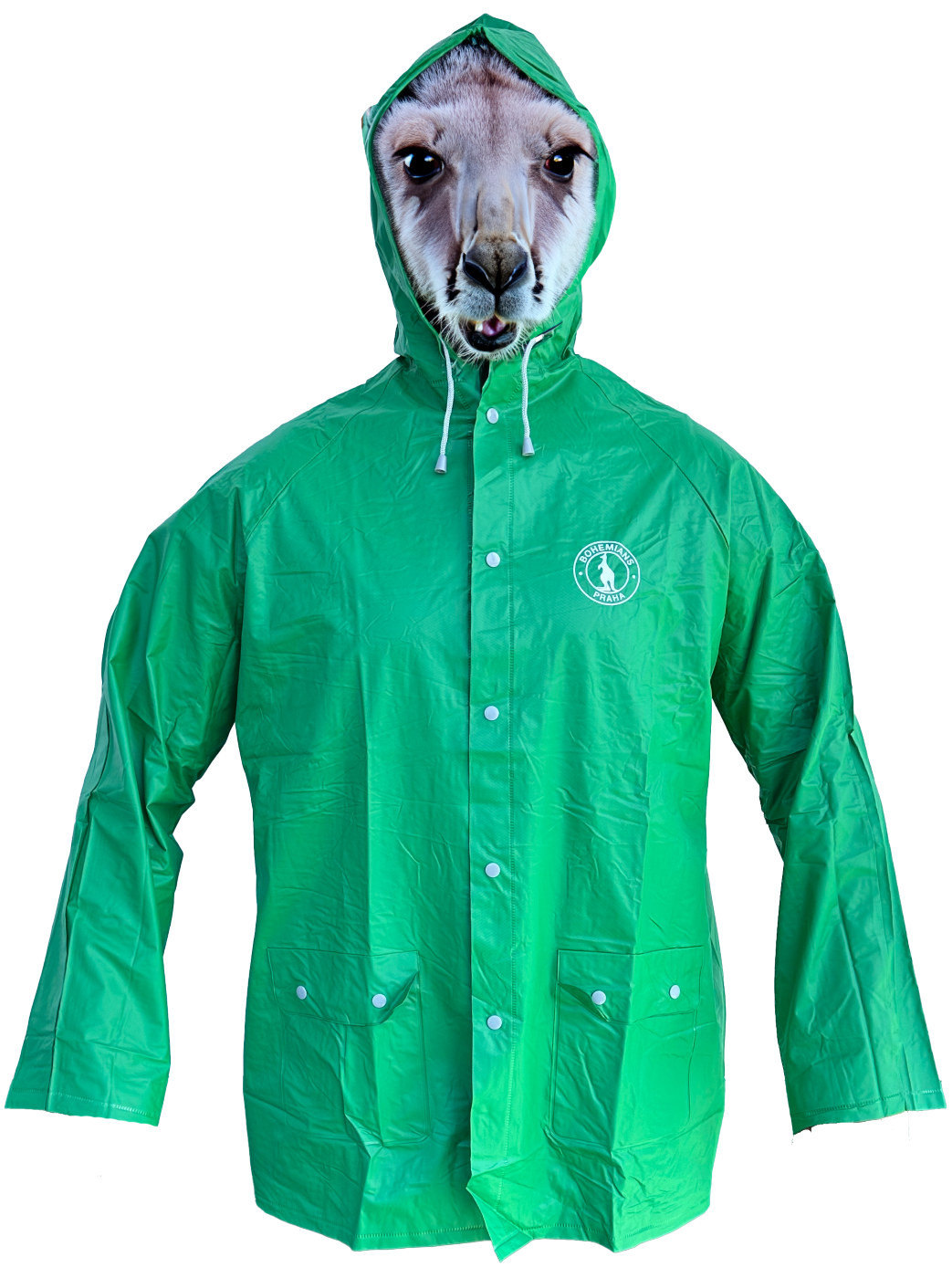 5885-plastenka dospela zelena bohemians